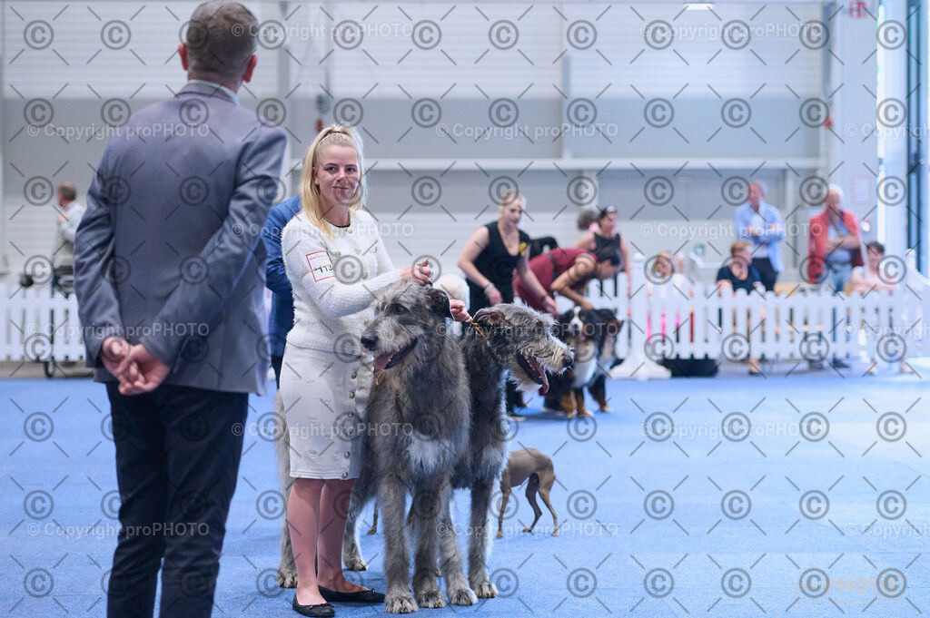 202406_ÖKV-IHA-Tulln24_DSC_3717 | proPHOTO - Realisiert mit Pictrs.com