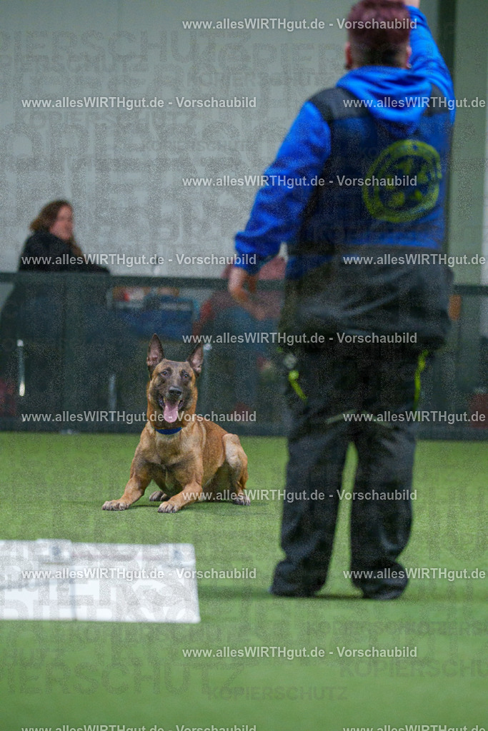 7R503733 | Professionelle Tierfotografie in Mönchengladbach von Daniel Wirth (allesWIRTHgut). Liebevolle & natürliche Bilder von Hunden & Katzen für unvergessliche Erinnerungen.