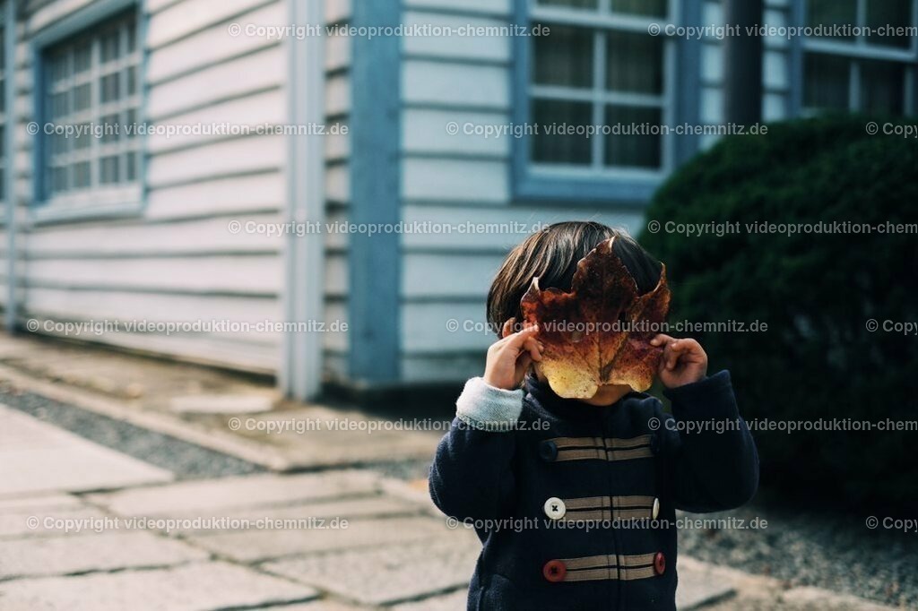 2-14-1025-683 | videoproduktion-chemnitz