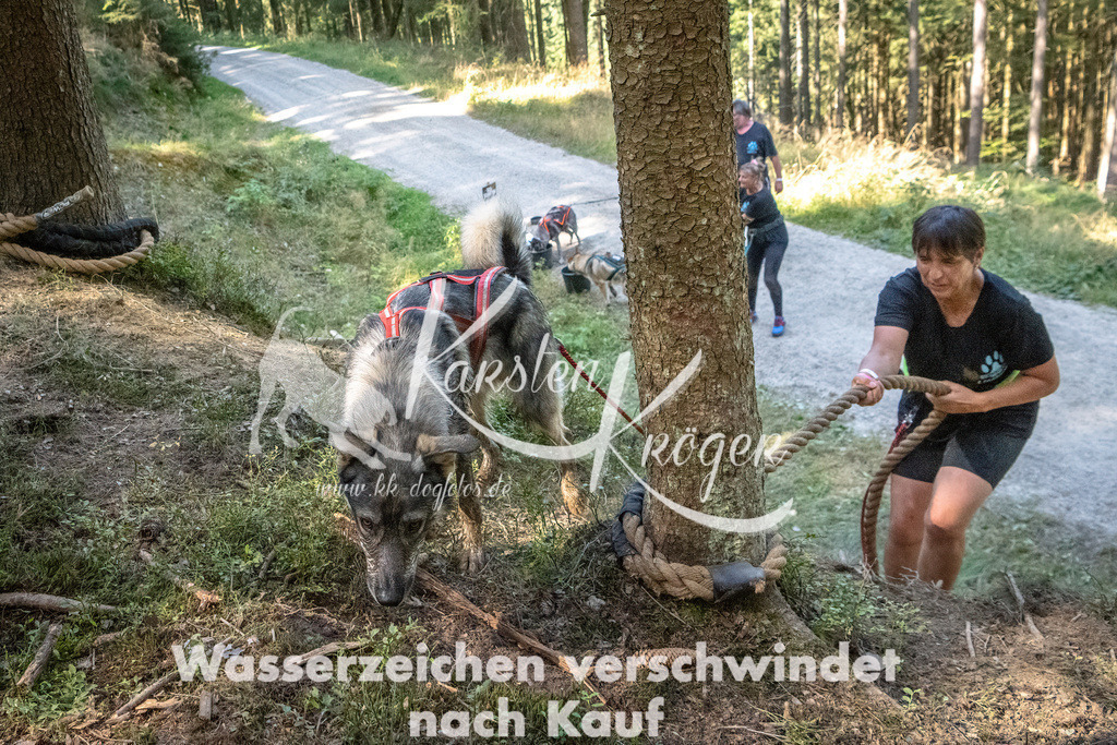 1138_ZZ91111 | kk-dogfotos