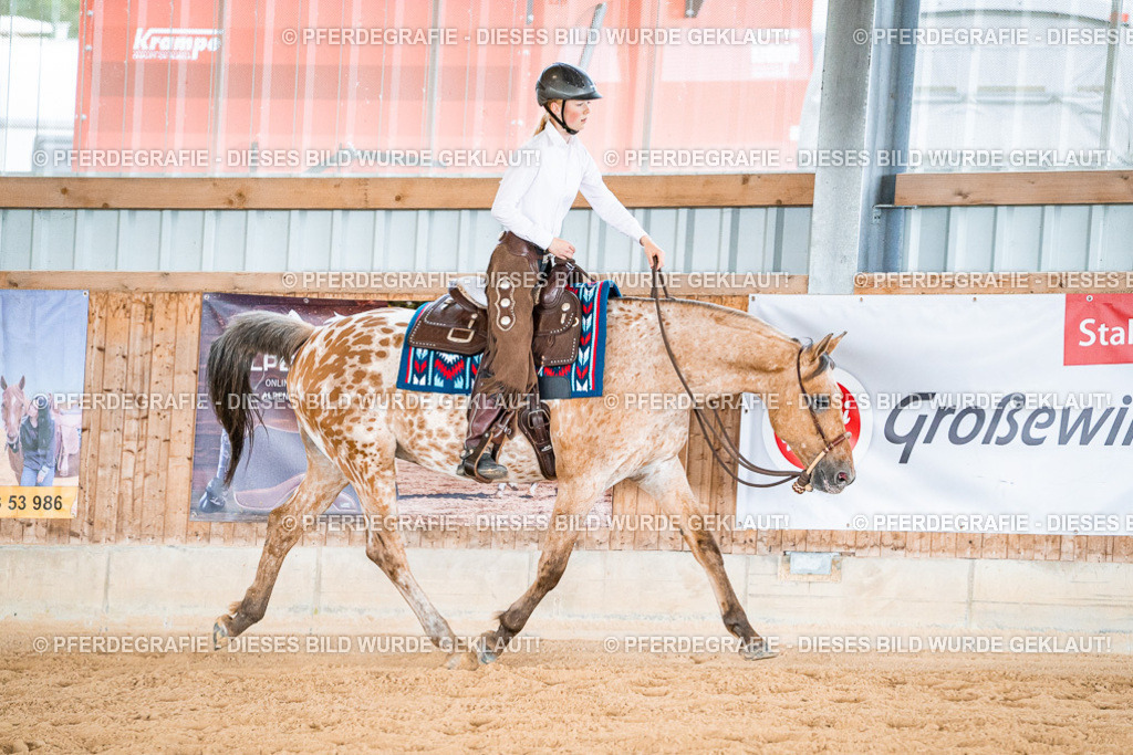 DSC09404 | Pferdegrafie