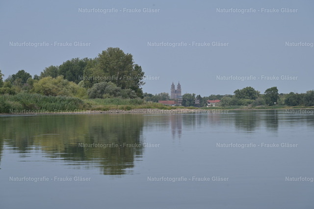 F.Gläser_1121 | Naturfotografie Frauke Gläser - Realisiert mit Pictrs.com