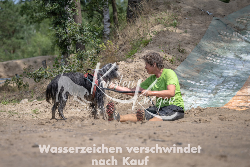 1231_ZZ92143 | kk-dogfotos