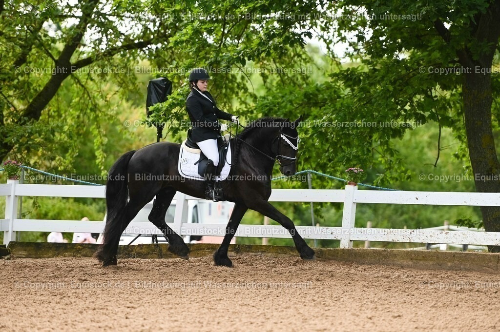 20230716_04_Dressurreiterprüfung Kl.A_0331 | equistock
