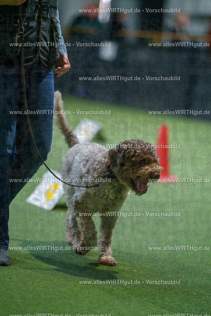7R503077 | Professionelle Tierfotografie in Mönchengladbach von Daniel Wirth (allesWIRTHgut). Liebevolle & natürliche Bilder von Hunden & Katzen für unvergessliche Erinnerungen.