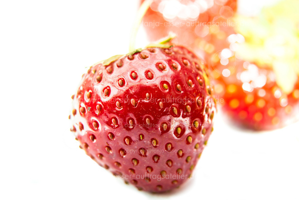 Strawberries III | Eine perfekte Erdbeere in der Sonne vor weißem Hintergrund. Im unscharfen Hintergrund sind weitere Erdebeeren zu sehen. Copy Space. 