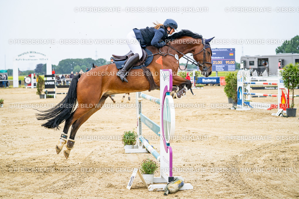 DSC07866 | Pferdegrafie