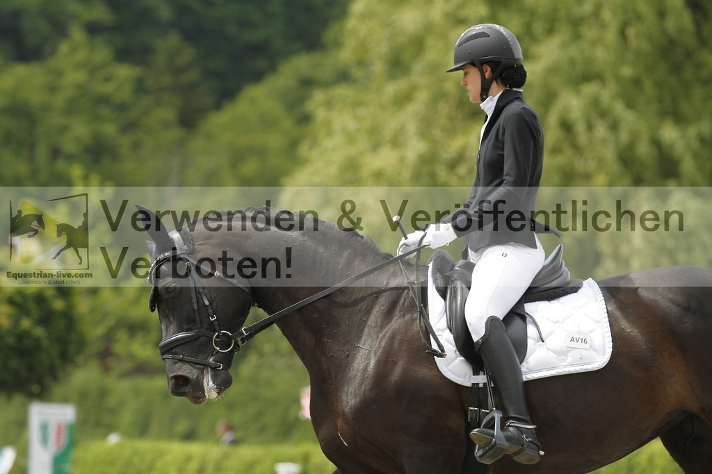 _MG_9383 | equestrian-live-com