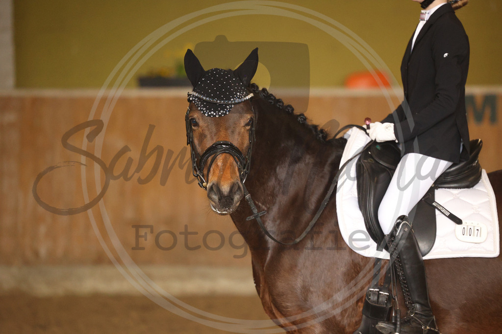 994A9140 | sabrinanicolaifotografie - Realisiert mit Pictrs.com