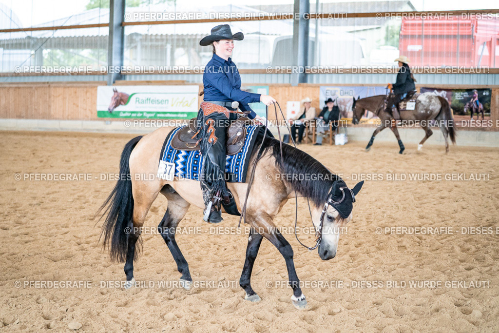 DSC03538 | Pferdegrafie