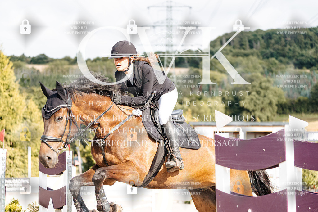 CK903088 | Turnierfotografie Pferdefotografie Trier Rheinland-Pfalz Pferdesport Reitsport Tierfotografie Sportfotografie Pferdevideo Pferdevideografie Equestrianvideography equestrianphotography  - Realisiert mit Pictrs.com