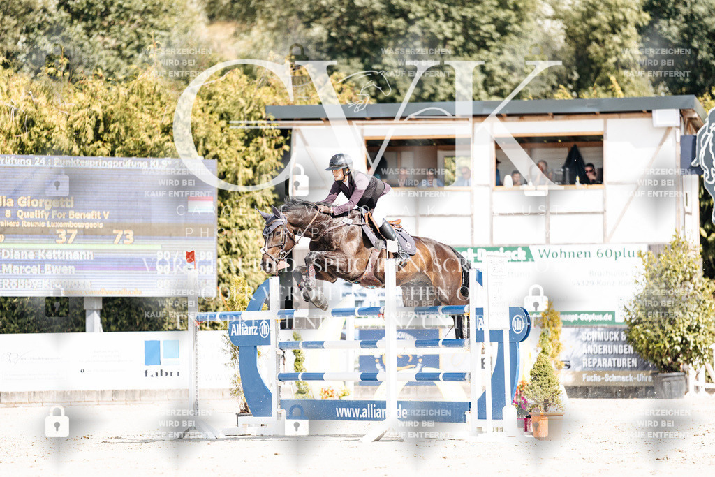 CK908898 | Turnierfotografie Pferdefotografie Trier Rheinland-Pfalz Pferdesport Reitsport Tierfotografie Sportfotografie Pferdevideo Pferdevideografie Equestrianvideography equestrianphotography  - Realisiert mit Pictrs.com
