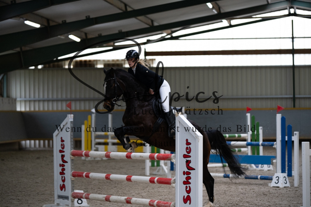 A7V02744 | Pferdefotograf