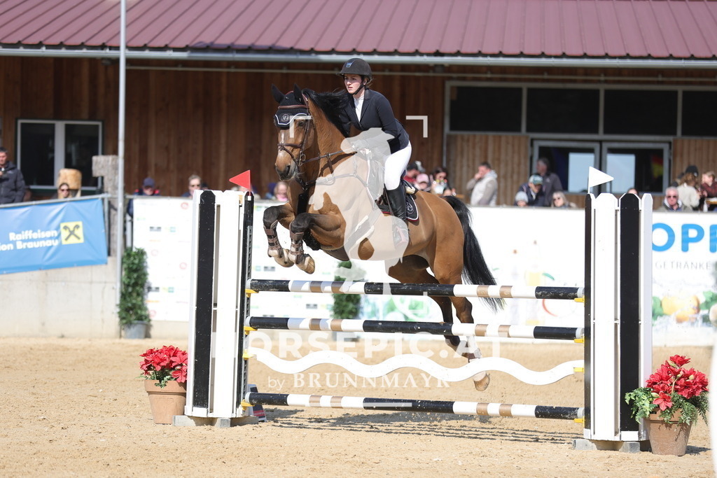 0P6A1974 | Willkommen bei Brunnmayr - Design & Fotografie – Ihrem Spezialisten für Reitturniere und Pferdeveranstaltungen in Oberösterreich, Salzburg und Bayern! Seit über 17 Jahren sind wir leidenschaftlich dabei.