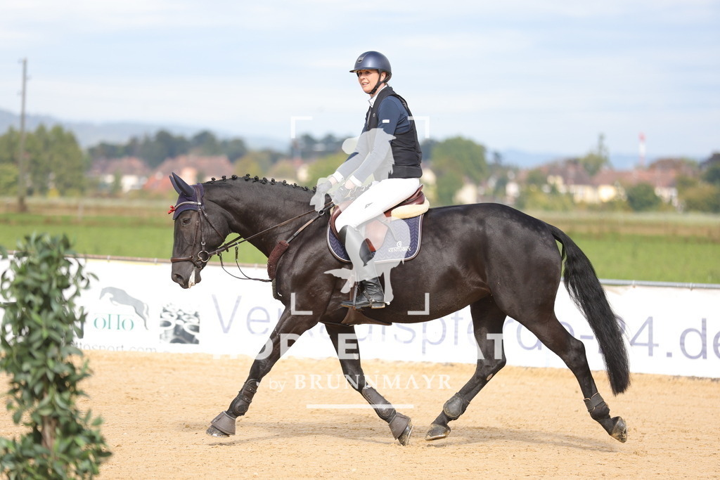 0P6A4263 | Willkommen bei Brunnmayr - Design & Fotografie – Ihrem Spezialisten für Reitturniere und Pferdeveranstaltungen in Oberösterreich, Salzburg und Bayern! Seit über 17 Jahren sind wir leidenschaftlich dabei.