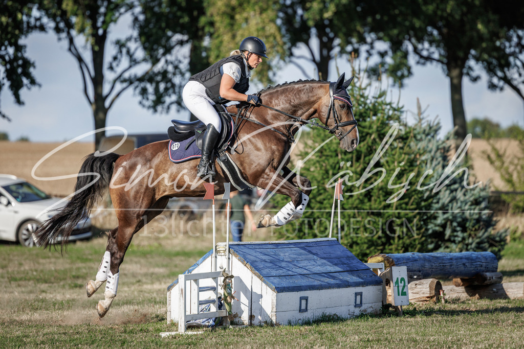 20260905-_3LI0714 | Tierfotografie Pferde, Hunde, Katzen, Haustiere.
Turnierfotografie Reitturniere, Reiten, Springreiten, Dressur in Hanau, dem Main-Kinzig-Kreis und dem Rhein-Main- Gebiet um Frankfurt