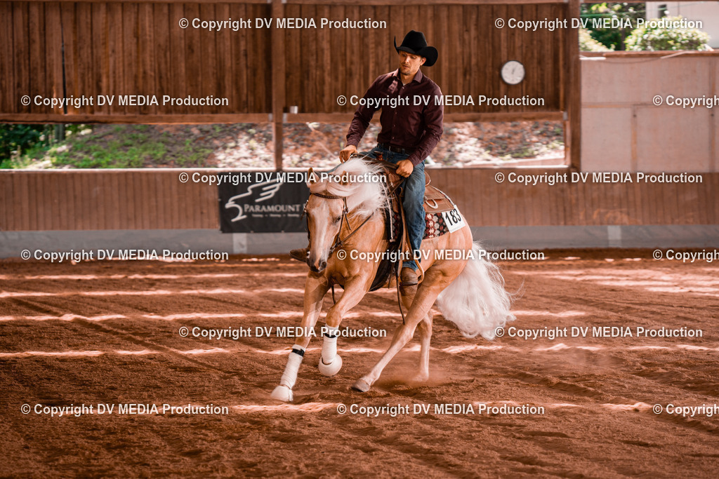 NE200867 | dv-media-shop - Realisiert mit Pictrs.com