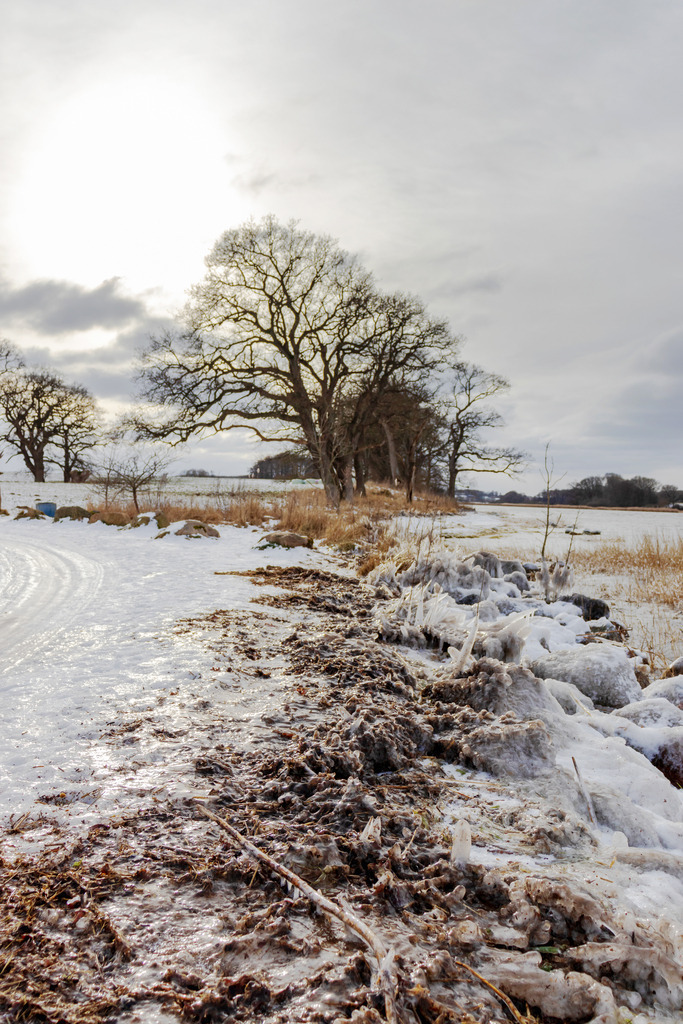 Wandbild: Schnee und Eis an der Schlei in Büstorf | Schlei, Ostseefjord, Büstorf, Schlei, Eis, Schnee, Bäume, Winter, Weg, maritim  - Realisiert mit Pictrs.com