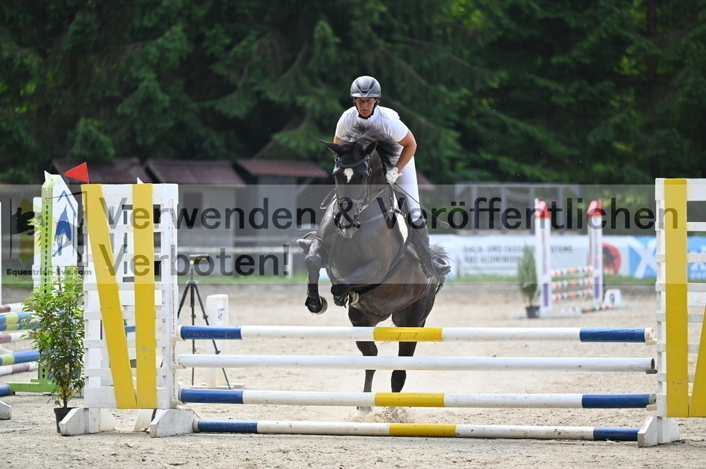 DSC_4230 | equestrian-live-com