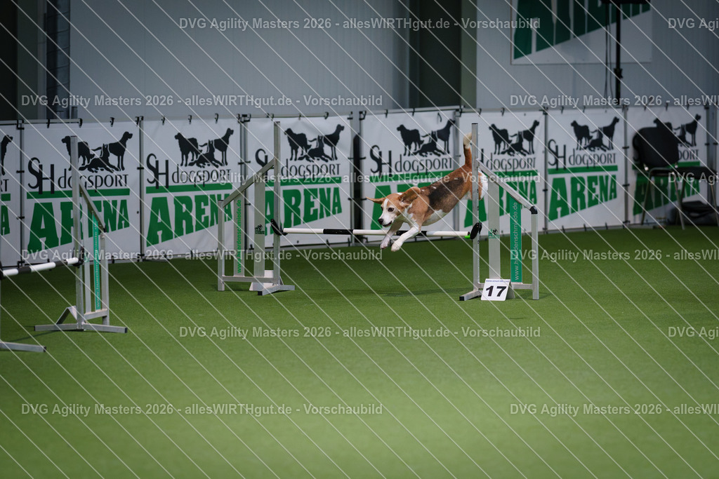 allesWIRTHgut_Tierfotografie-DVG_Agility_Masters_2026-09_19-7R509110 | Professionelle Tierfotografie in Mönchengladbach von Daniel Wirth (allesWIRTHgut). Liebevolle & natürliche Bilder von Hunden & Katzen für unvergessliche Erinnerungen.