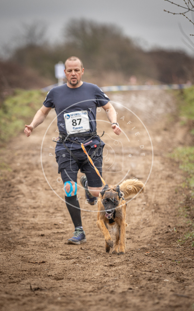 DV3A9914 | Hundefotografie, Tierfotograf, Pfotenfotografie, Fotoshooting Hund, Hunde Portrait, Hundesport, Hundeportraits, Heideshooting, Hunde, Sportfotograf, Hundefotograf, Turnierhundsport, THS,  - Realisiert mit Pictrs.com