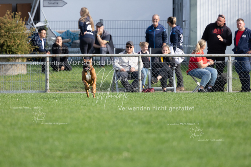 _16A5568 | Einzigartige Fotos von Hunden & Menschen –Actionfotos, Portraits, Vereinsaufnahmen & Paarshootings – authentisch, lebendig & mit Herz.