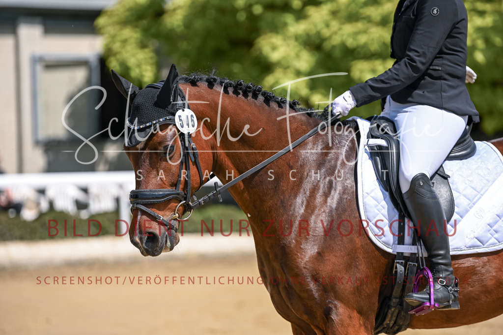 Schugtsche-Aluta25-53.Amat.Dressurprf.A2-35 | Schugtsche Fotografie - Realisiert mit Pictrs.com