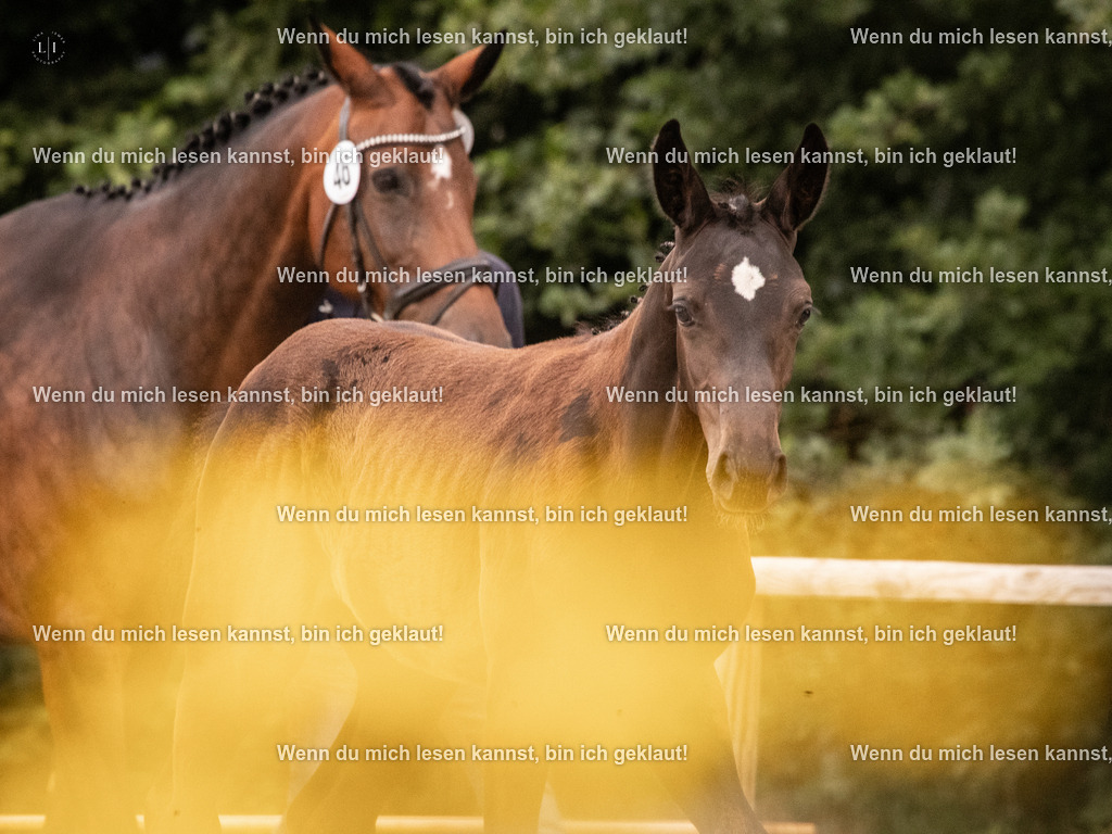 A10I4477 15.58.11 | photographylinaismer - Realisiert mit Pictrs.com