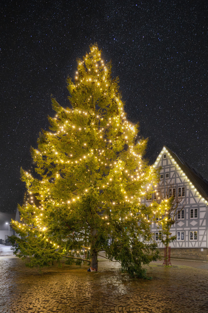 2024-12-12 Hemmingen Weihnachtsbaum 017_ | Schwotte Media - Realisiert mit Pictrs.com