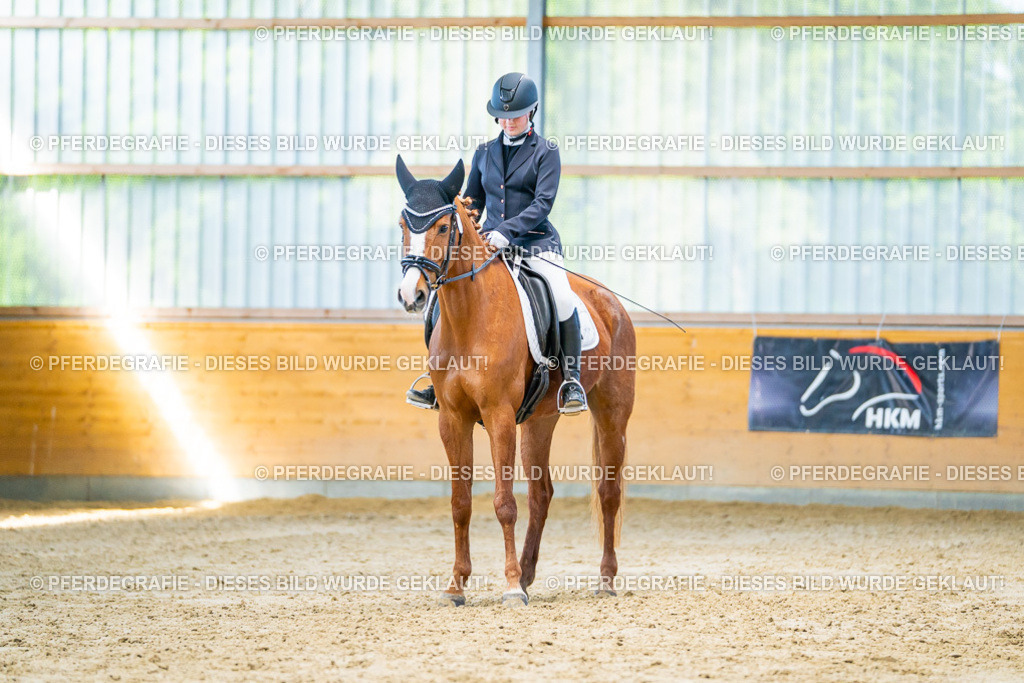 DSC07032 | Pferdegrafie