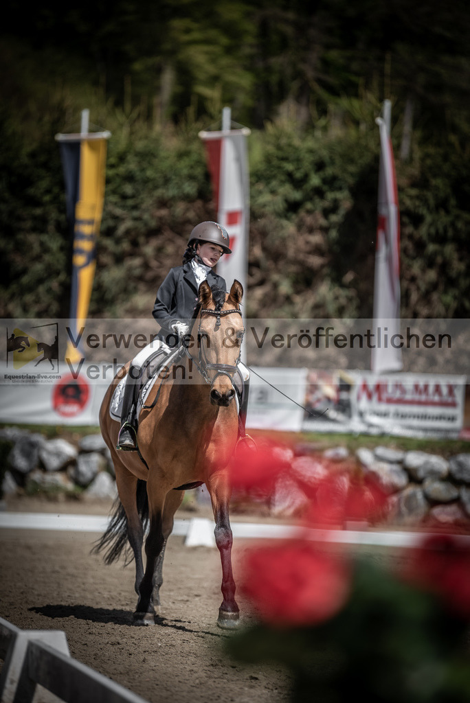 DSC_0834 | equestrian-live-com
