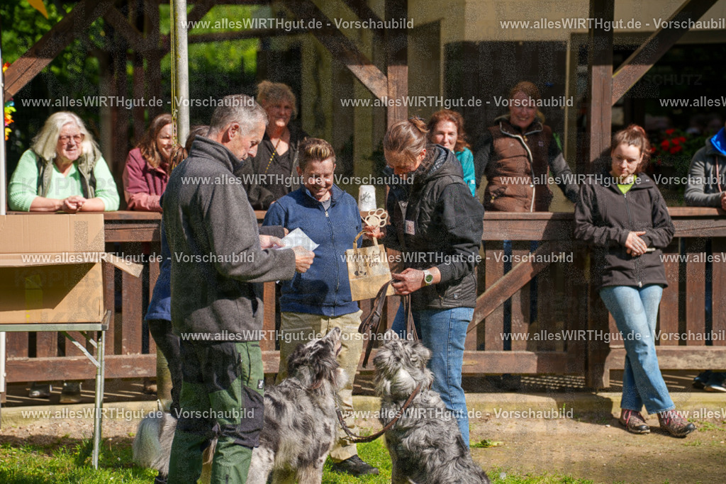 @allesWIRTHgut_Tierfotografie - www.allesWIRTHgut.de - 7R502347 | Professionelle Tierfotografie in Mönchengladbach von Daniel Wirth (allesWIRTHgut). Liebevolle & natürliche Bilder von Hunden & Katzen für unvergessliche Erinnerungen.