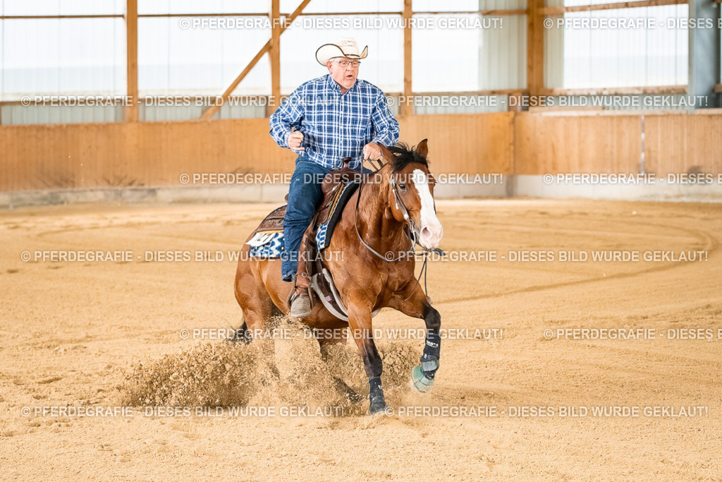 DSC01771 | Pferdegrafie