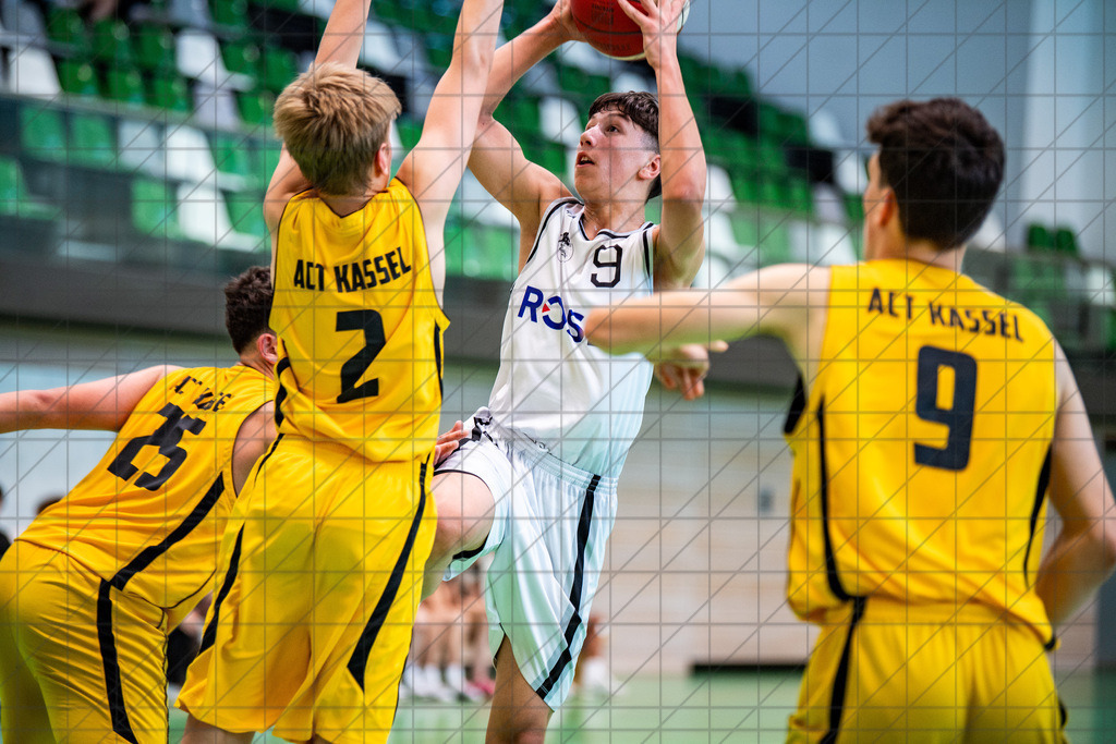 @Martin König_20240623__DSC3588 | bullenfotos|de - Realisiert mit Pictrs.com