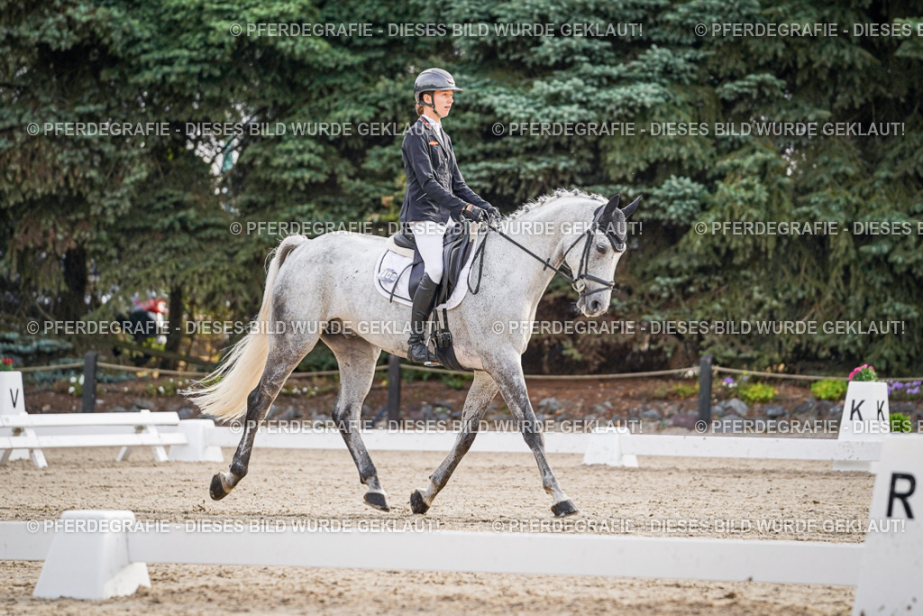 DSC00125 | Pferdegrafie