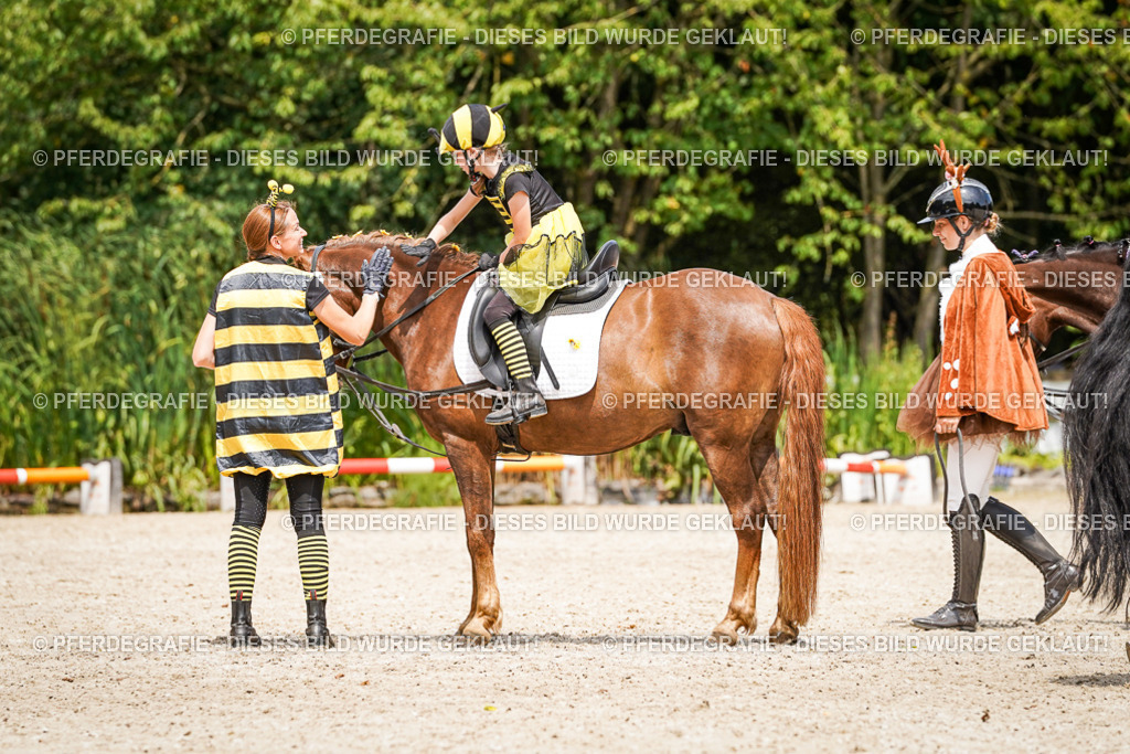 DSC03159 | Pferdegrafie