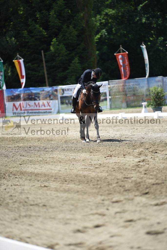 DSC_0209 | equestrian-live-com