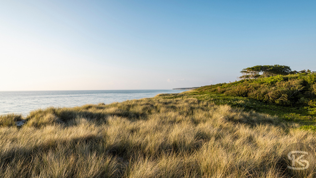 Weststrand Fischland-Darß-Zingst – Naturstrand mit Dünen und Ostsee | Der Weststrand auf Fischland-Darß-Zingst beeindruckt mit wilder Natur, Dünenlandschaften und weitem Blick über die Ostsee. Ein ursprünglicher Küstenabschnitt im Nationalpark Vorpommersche Boddenlandschaft. - Realisiert mit Pictrs.com