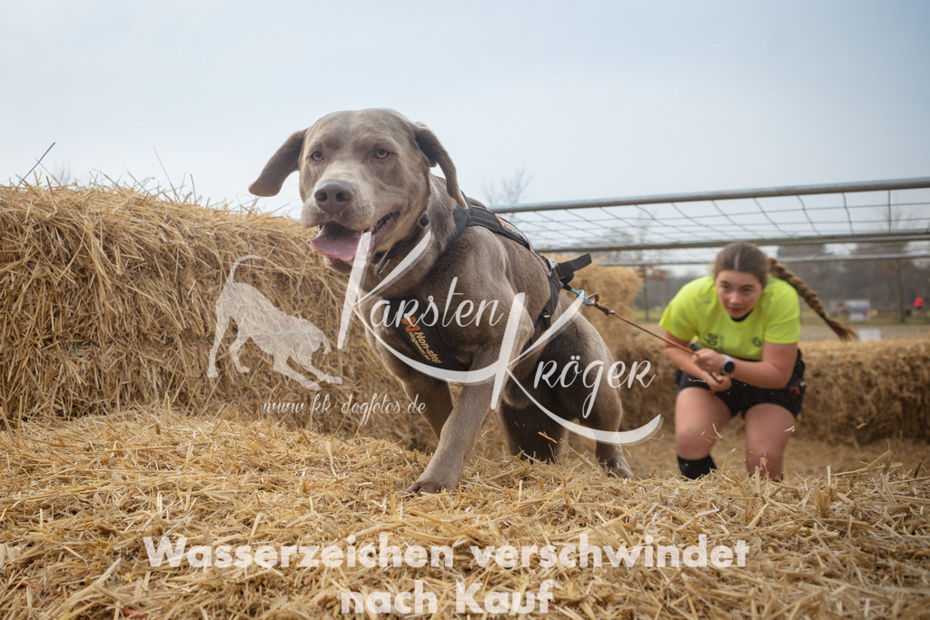 1001_ZZ91797 | kk-dogfotos