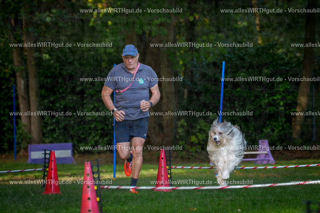 THS_Turnier_27-09-2026-allesWIRTHgut_Tierfotografie-7R506050 | Professionelle Tierfotografie in Mönchengladbach von Daniel Wirth (allesWIRTHgut). Liebevolle & natürliche Bilder von Hunden & Katzen für unvergessliche Erinnerungen.