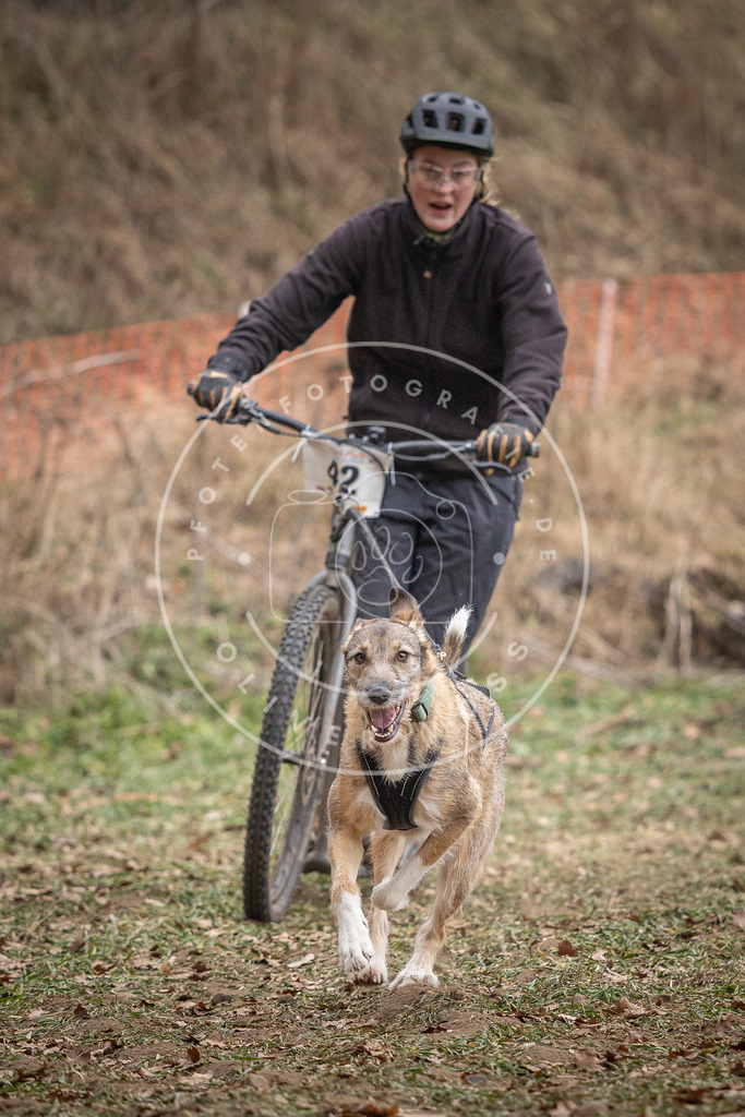 Pfotenfotografie_DV3A6630 | Hundefotografie, Tierfotograf, Pfotenfotografie, Fotoshooting Hund, Hunde Portrait, Hundesport, Hundeportraits, Heideshooting, Hunde, Sportfotograf, Hundefotograf, Turnierhundsport, THS,  - Realisiert mit Pictrs.com