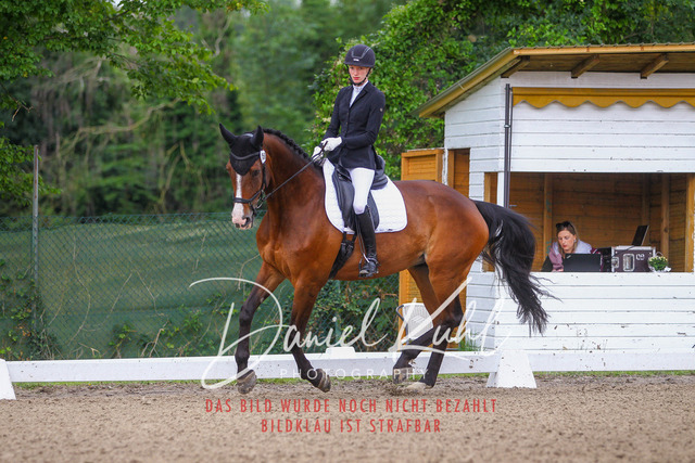 DKP41721 | Turniersportfotografie; Pferdefotografie; Dressurfotografie