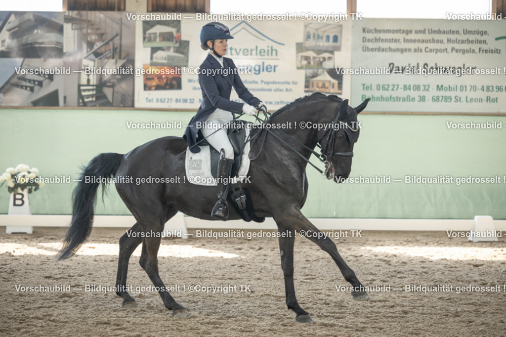 _D5A1168 | Emotionale Pferde- & People-Fotografie rund um Heidelberg, Leimen & Umgebung. Natürliche Fotos von Pferd, Mensch & Familie. Jetzt Termin sichern!