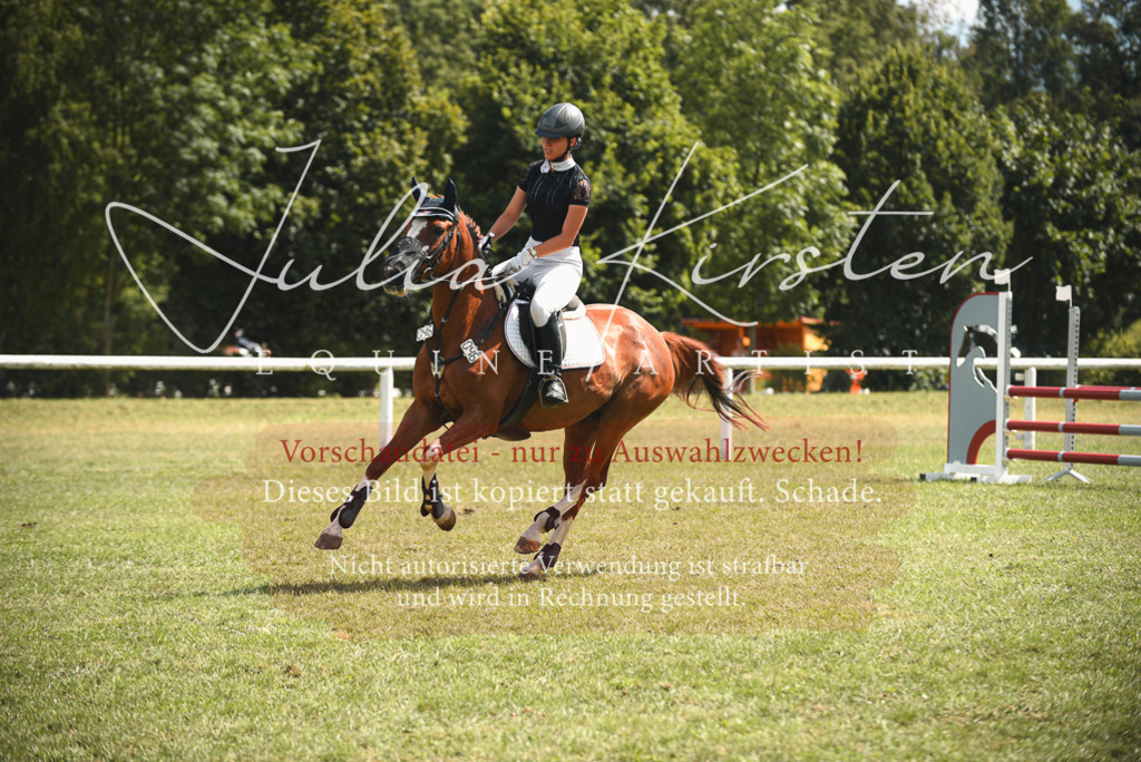 DSC_6674 | Pferde- und Turnierfotografie in Westsachsen. Pferdeportraits, Auftragszeichnungen und intuitive Kunst.
