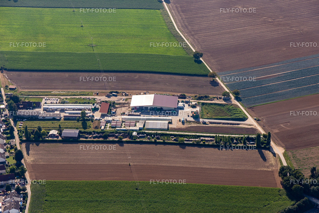 Kugelmann Bio-Bauer | Luftbild: Kugelmann Bio-Bauer in Kandel im Bundesland Rheinland-Pfalz in Deutschland. Foto: IMG_128374.jpg vom 12.08.2021 durch ©2025 Werner Riehm fly-foto.de/copyright - Realisiert mit Pictrs.com