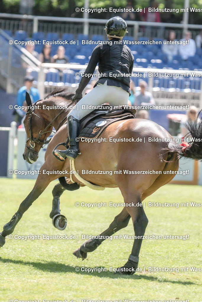 20230527_12_CSI4_Pfungstädter_0008 | equistock