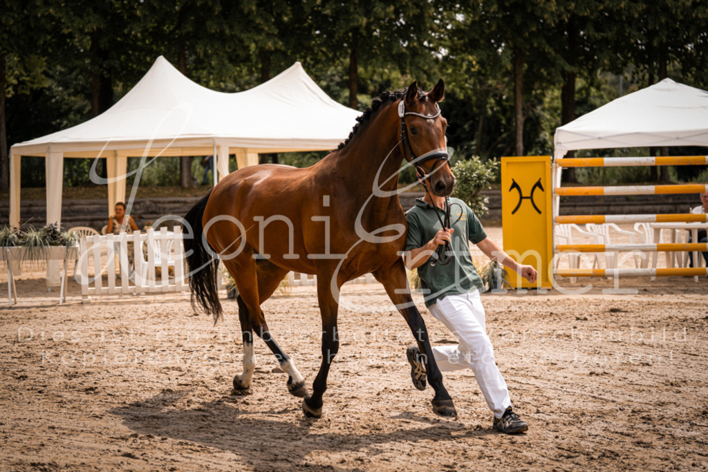 2. Fr00066 | Leoni Ertmer Photography - Realisiert mit Pictrs.com