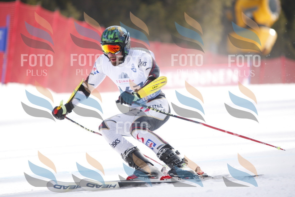 D7496 | holidayphoto