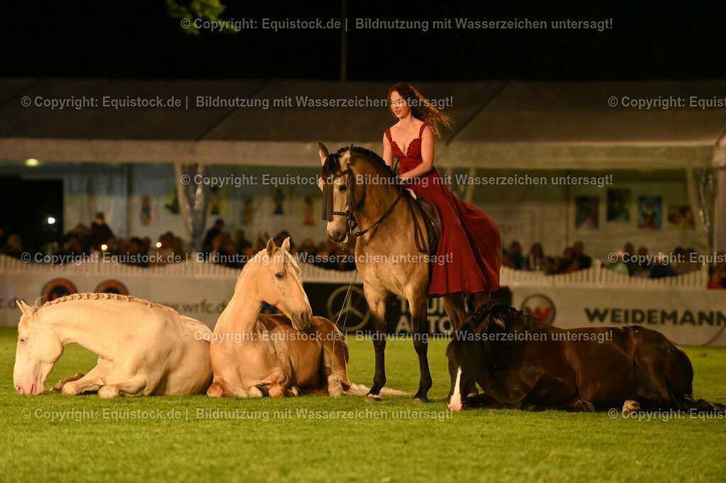 20230526_Pferdenacht_1527 | equistock