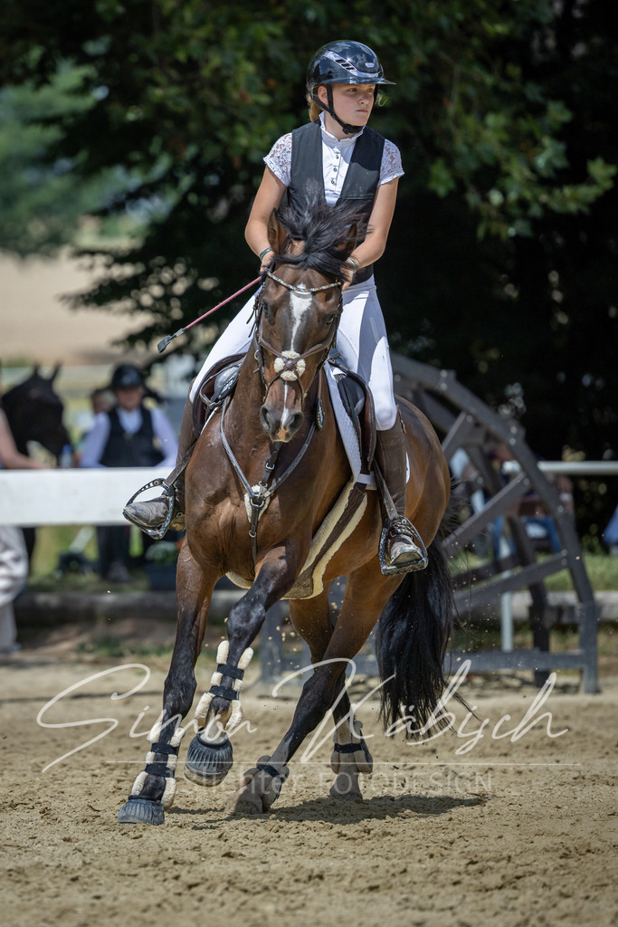 20260704-_3LI0059 | Tierfotografie Pferde, Hunde, Katzen, Haustiere.
Turnierfotografie Reitturniere, Reiten, Springreiten, Dressur in Hanau, dem Main-Kinzig-Kreis und dem Rhein-Main- Gebiet um Frankfurt